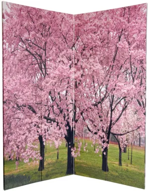 Blossoms Art Print Screen (Canvas/Double Sided)