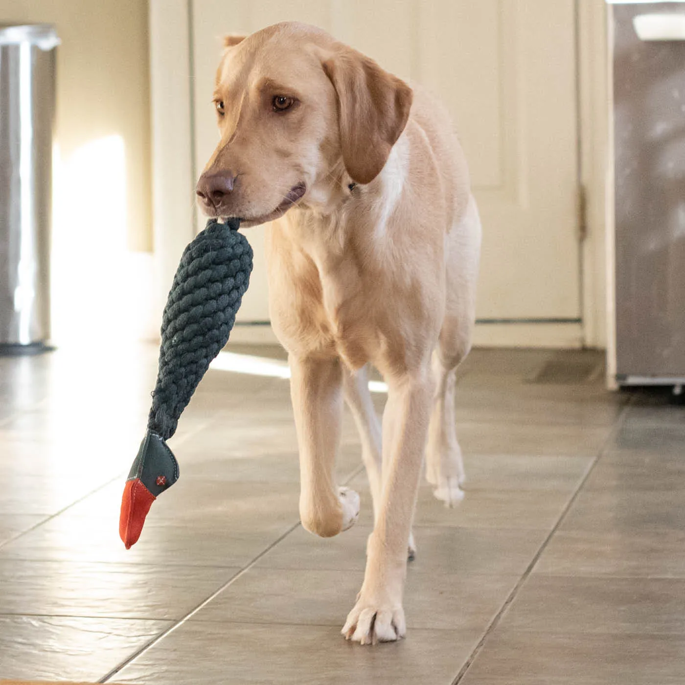 Duck Rope & Water Bottle Dog Toy