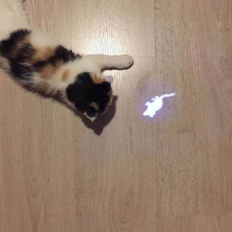 Funny Laser Cat Toy