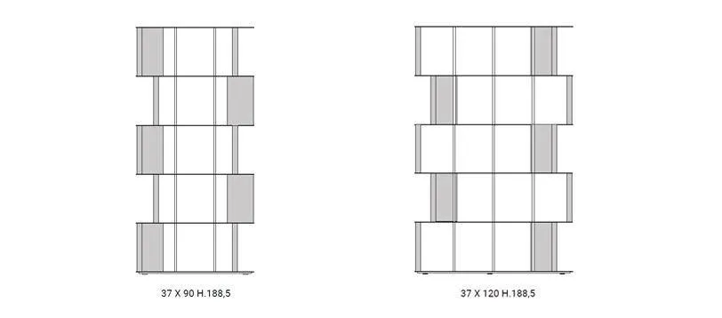 Manga room divider bookcase